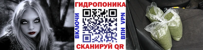 Шишки марихуана THC 21%  Пересвет 